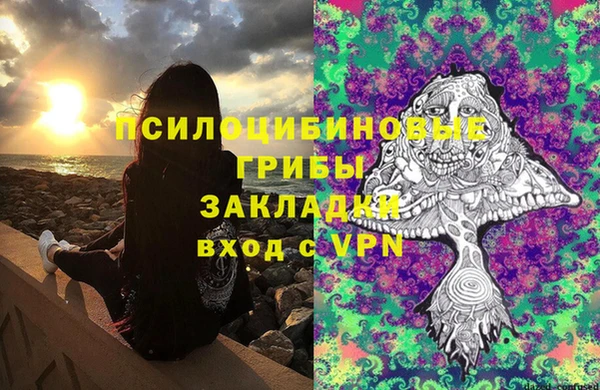 прущие грибы Аркадак