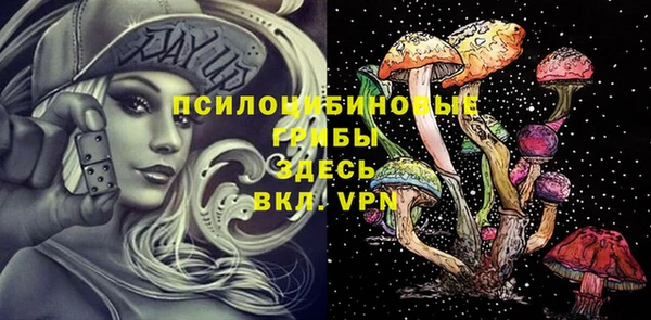 прущие крисы Арсеньев