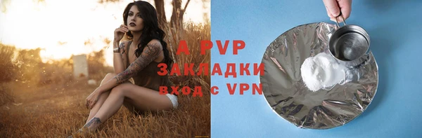 прущие грибы Аркадак