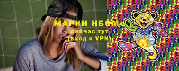 прущие грибы Аркадак