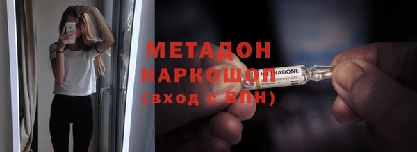 прущие грибы Аркадак