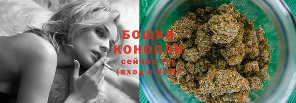 прущие крисы Арсеньев