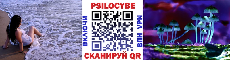 Галлюциногенные грибы Psilocybe  Купить  Севастополь 